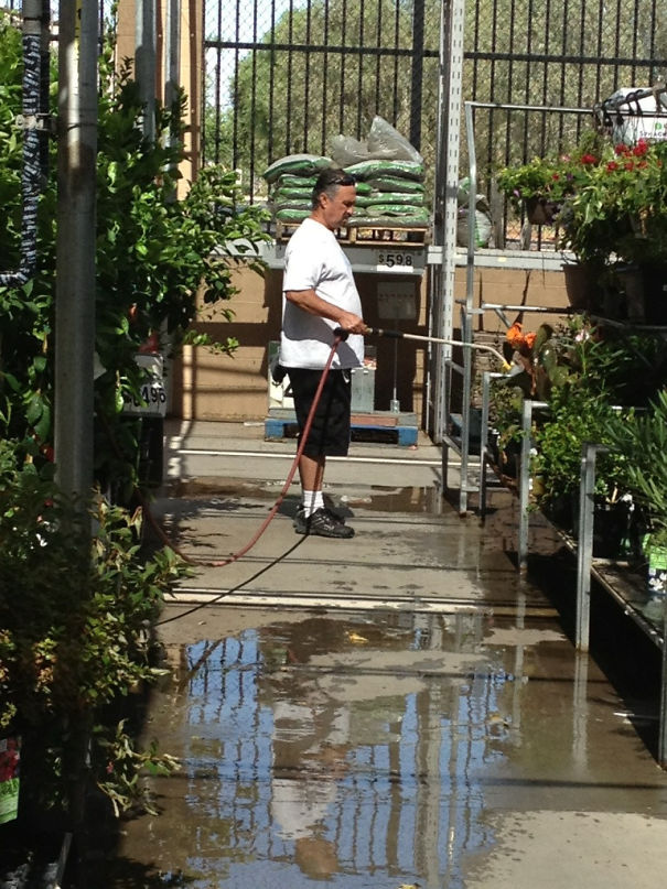 walmart gets free watering