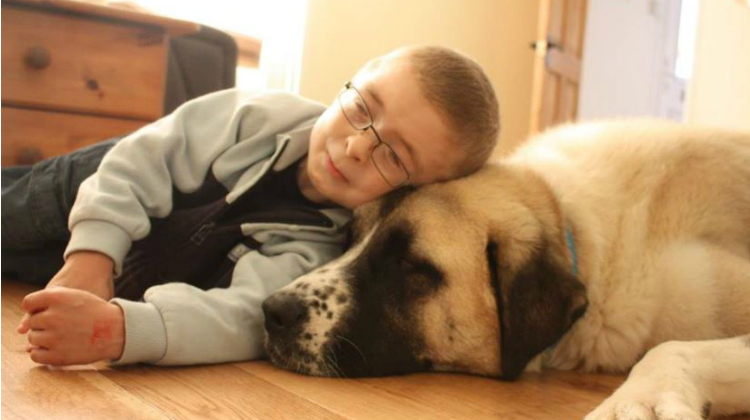 a boy and his dog