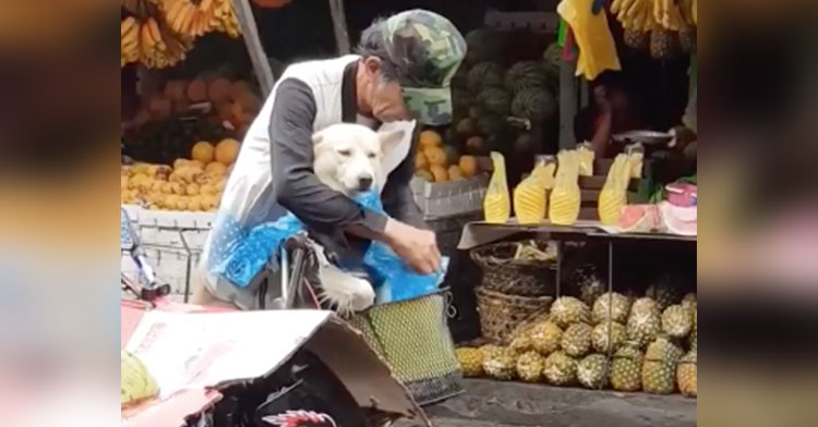 Woman Captures Tender Moment Between Man & Dog In Rain - InspireMore