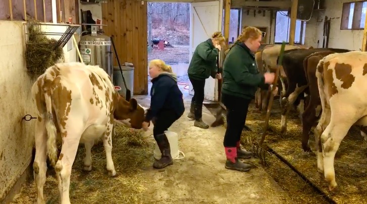 singing in barn