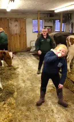 dairy hands perform in barn