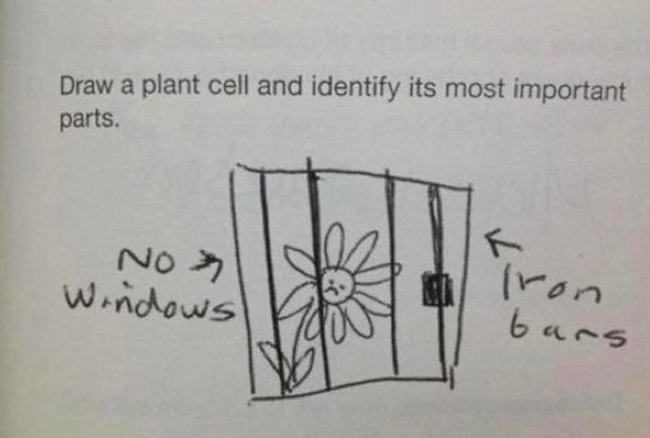 funny test answers