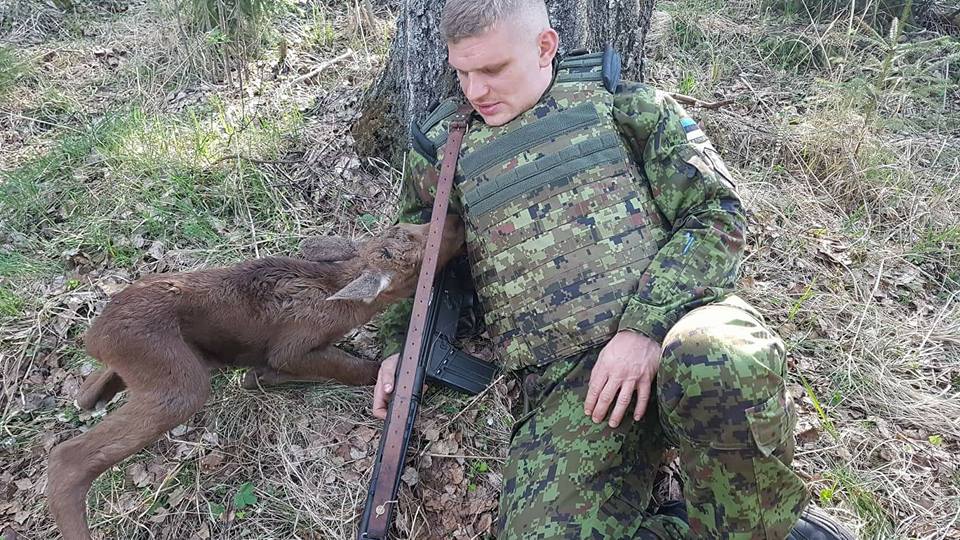 estonia soldier baby moose