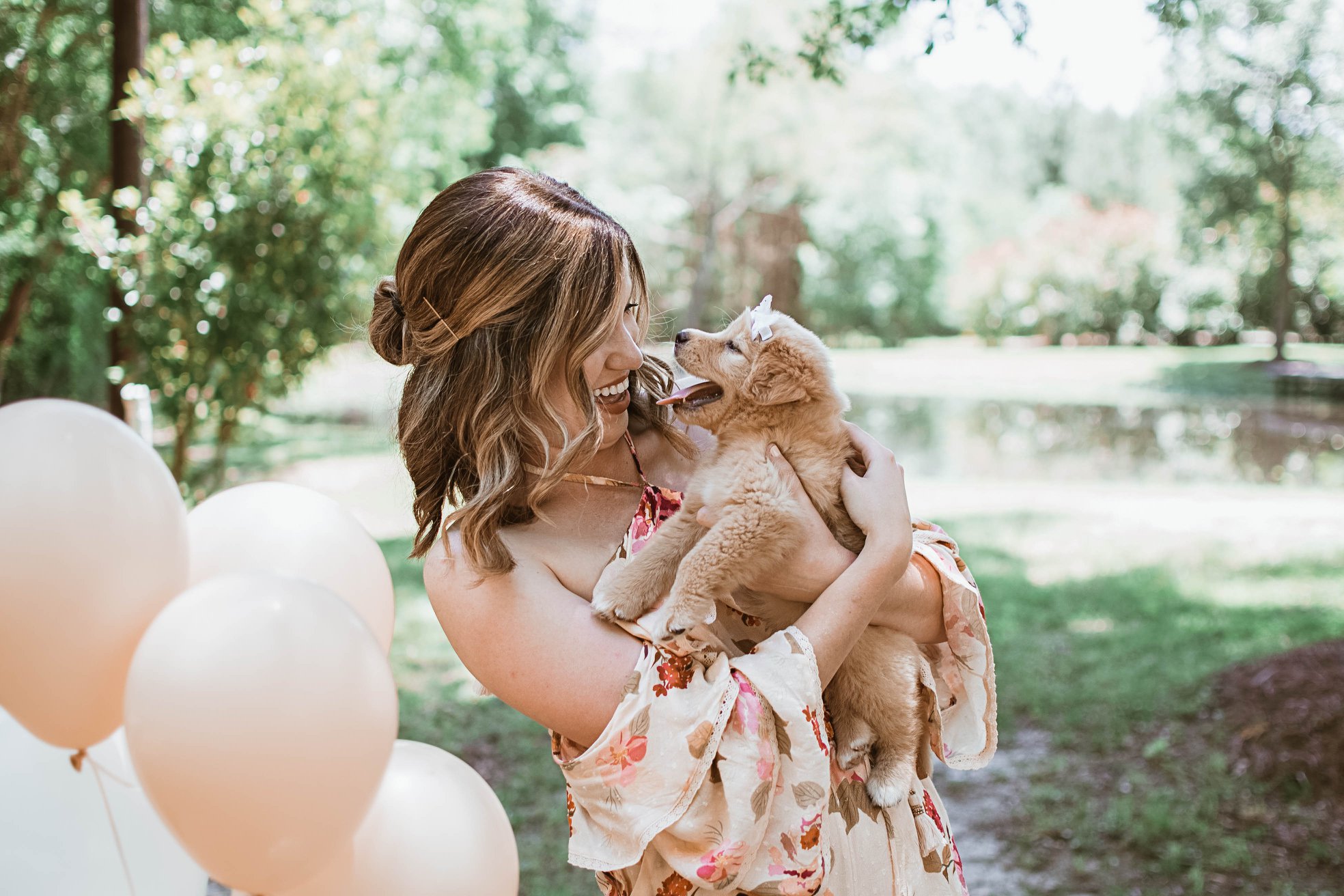 Gender Reveal puppy Carlye Allen