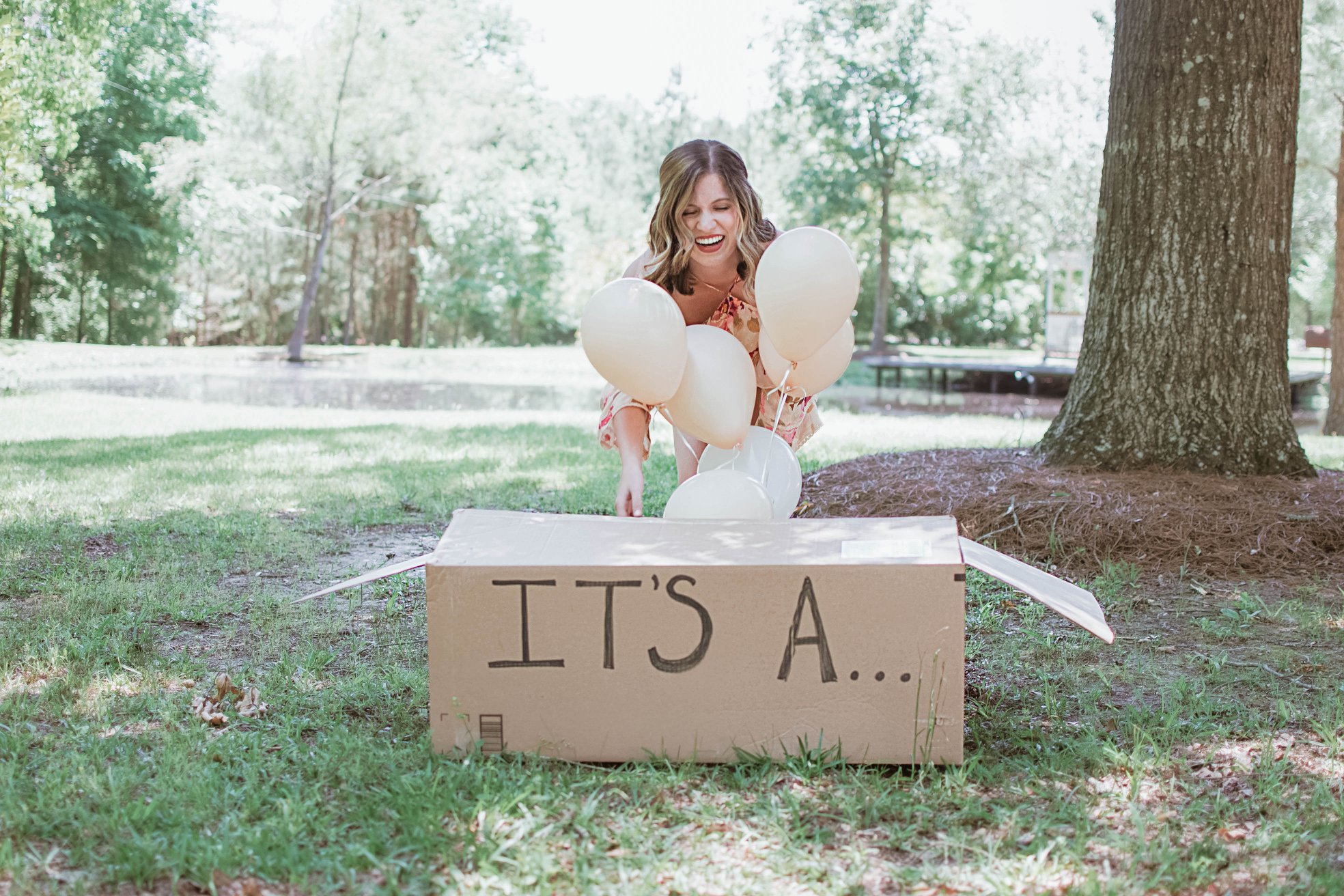 Gender Reveal puppy Carlye Allen