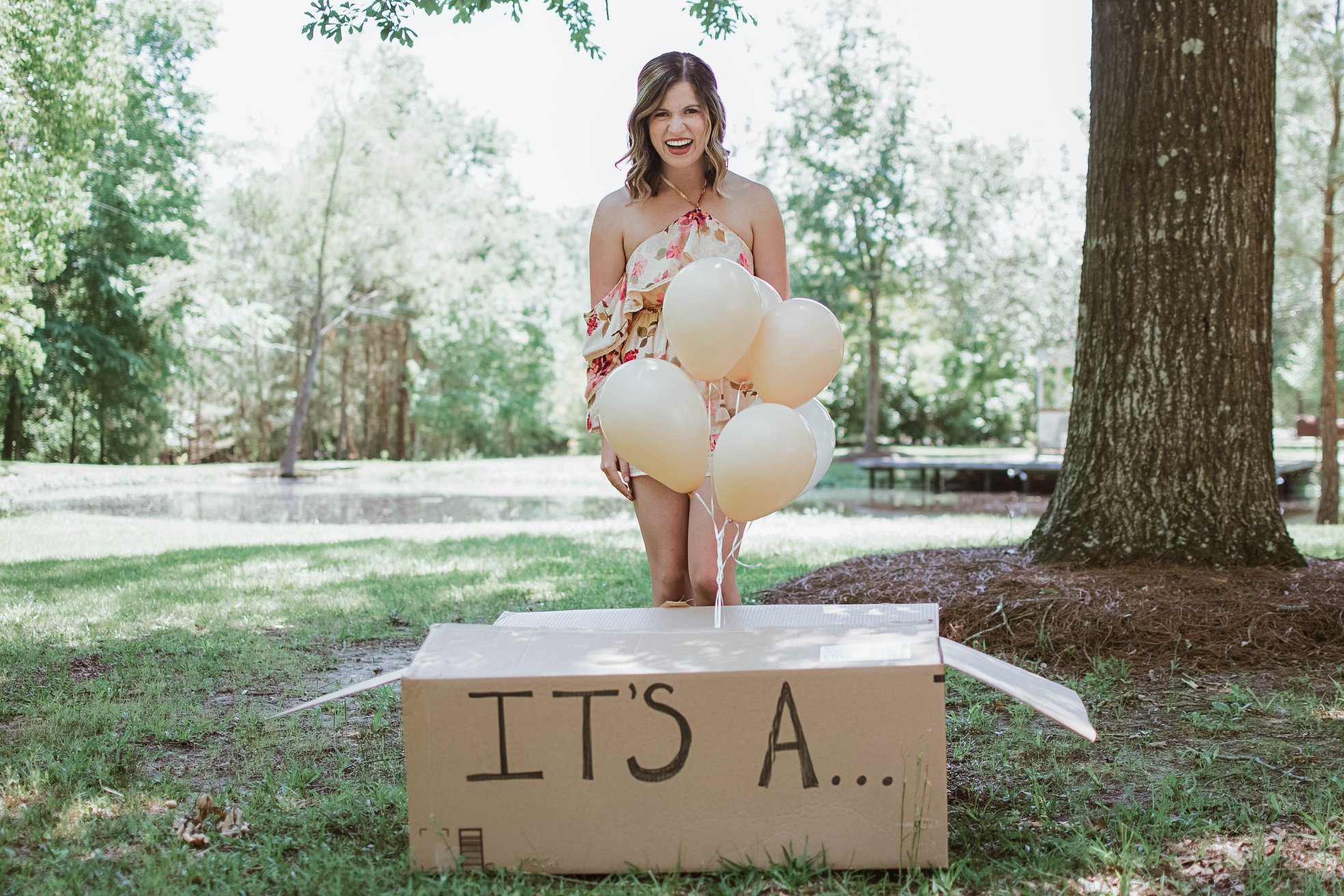 Gender Reveal puppy Carlye Allen