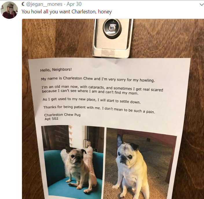 A woman who just moved into an apartment complex in Pittsburgh knows her neighbors are going to be annoyed with her howling dog, so she posted a note explaining why Charleston Chew howls to head off complaints. Not surprisingly, someone took a pic of the photo and it's gone viral.