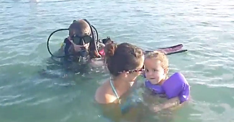 scuba diver sneaks up onto mom and baby in ocean