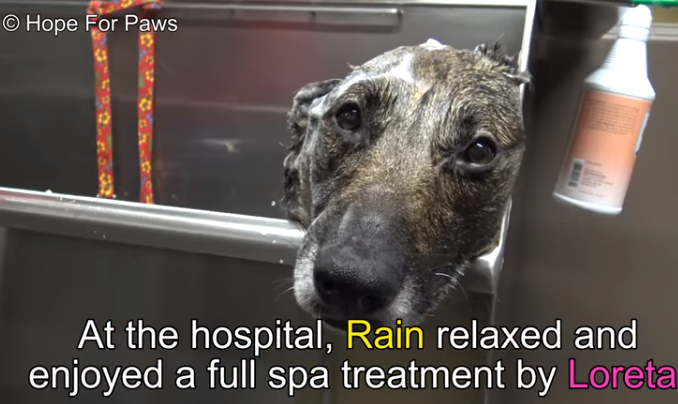 rain spa treatment