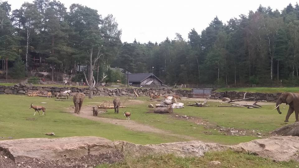 boras zoo sweden