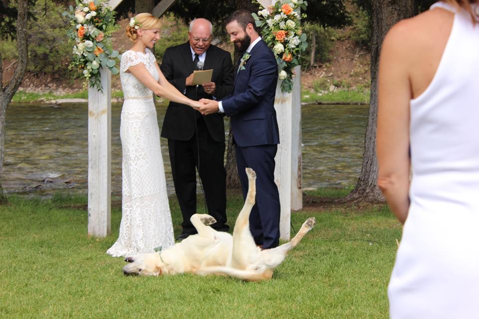 boone at wedding