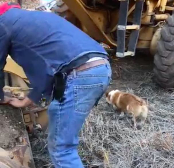 farmer cleaning tractor