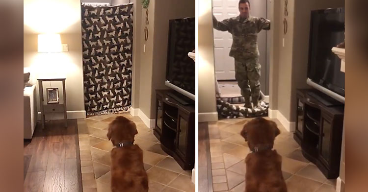 what the fluff military homecoming