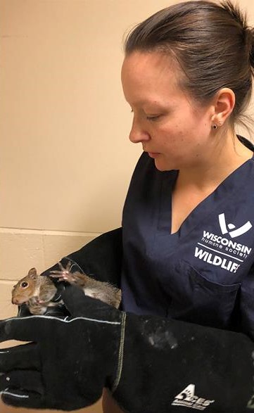 woman carrying squirrel