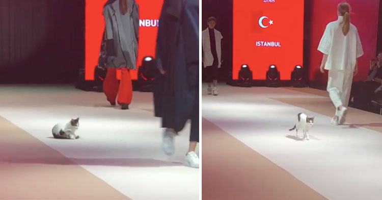 catwalk istanbul