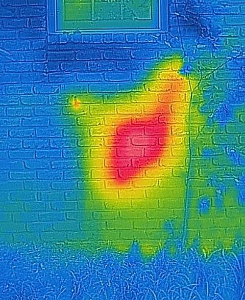 infrared image of bee hive
