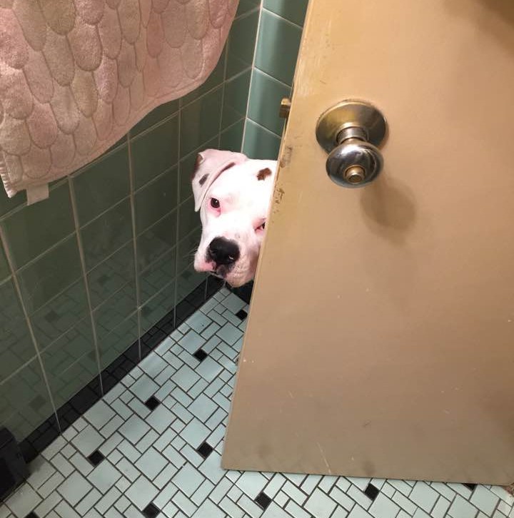 maddie in bathroom