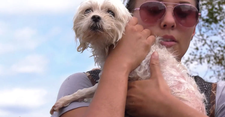 a woman holding a dog
