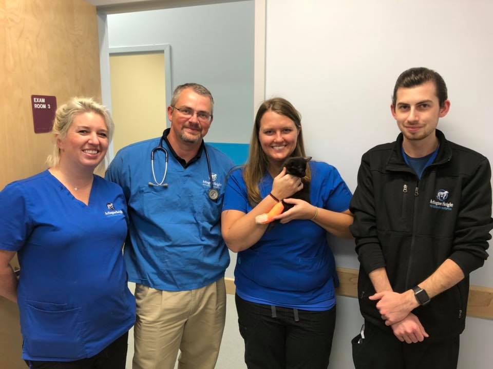 vet staff and lennie