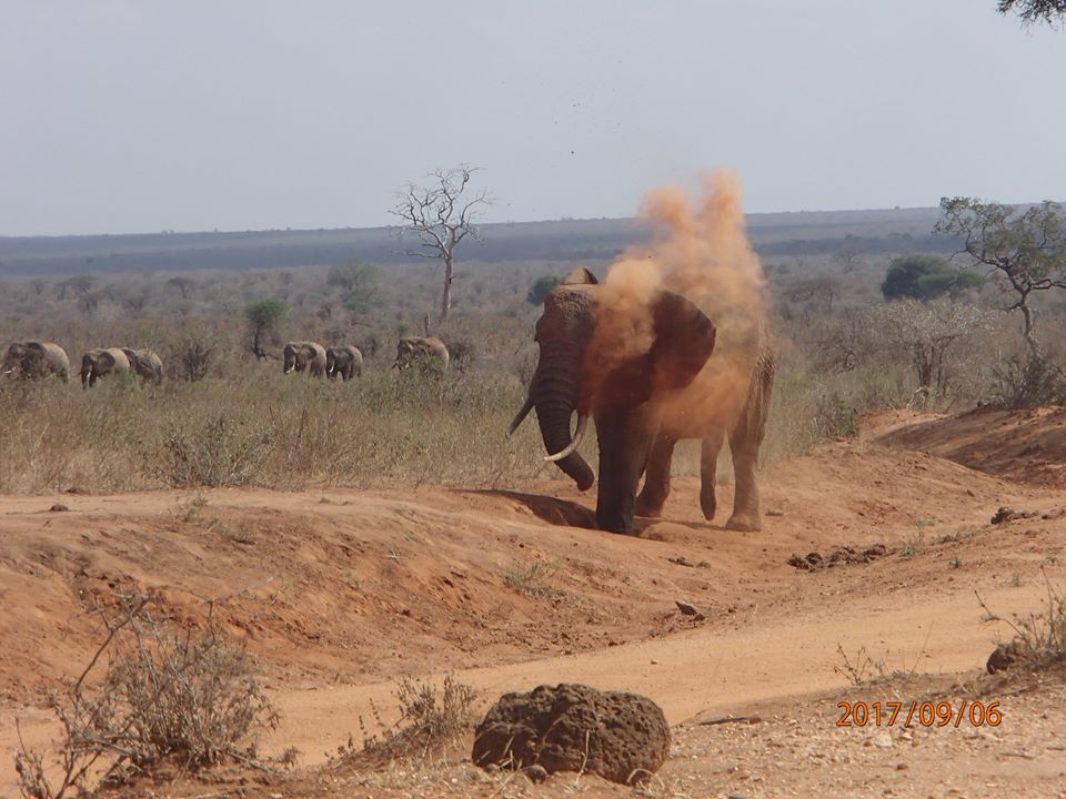 tsavo west drought