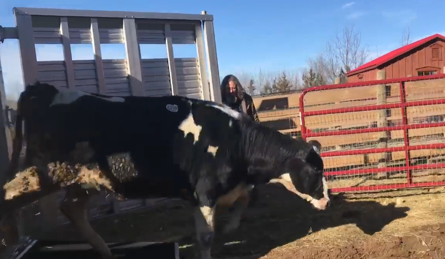 brianna arrives at sanctuary