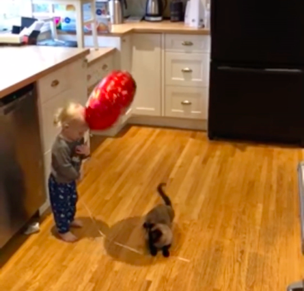 toddler and balloon