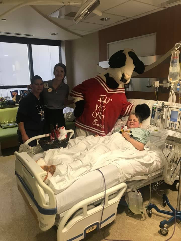 danny chick fil a cow