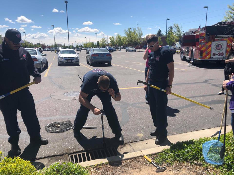 firefighters rescue ducklings