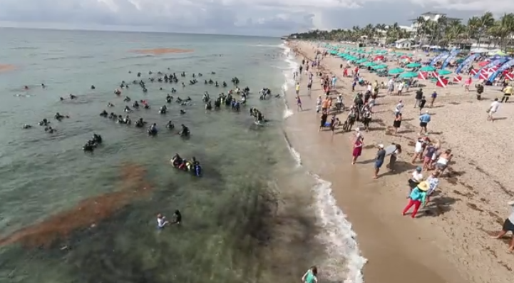 deerfield beach cleanup