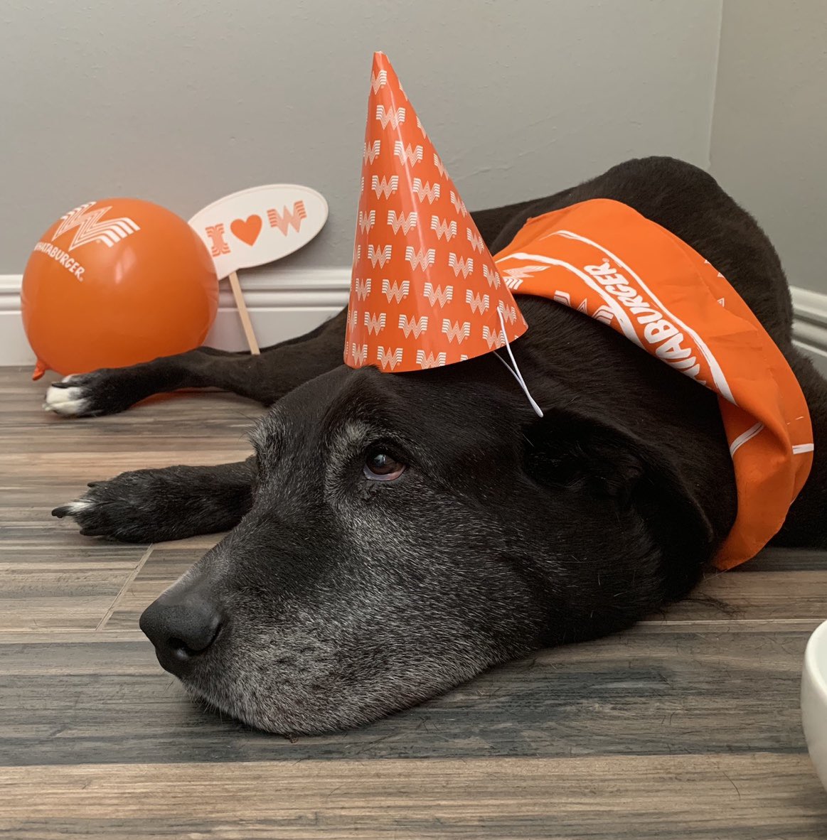 whataburger party dog stitch