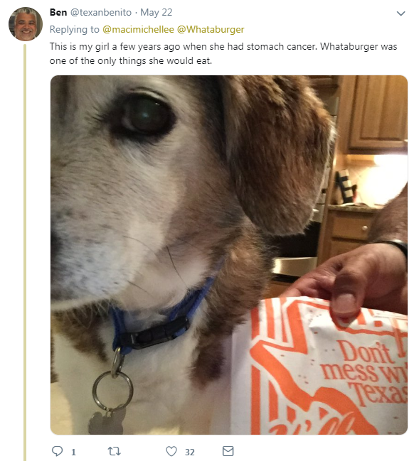 whataburger tweet dog
