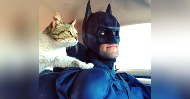 batman4paws rescue cat