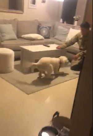 benny runs to dad