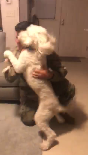 dog soldier reunion