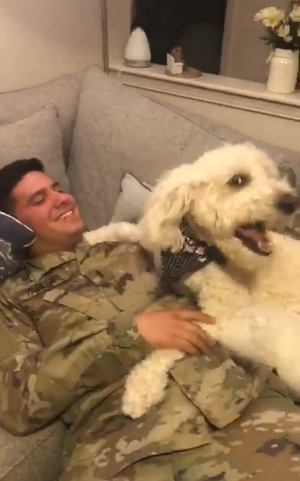 dog soldier reunion