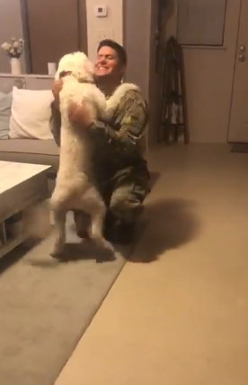 dog soldier reunion