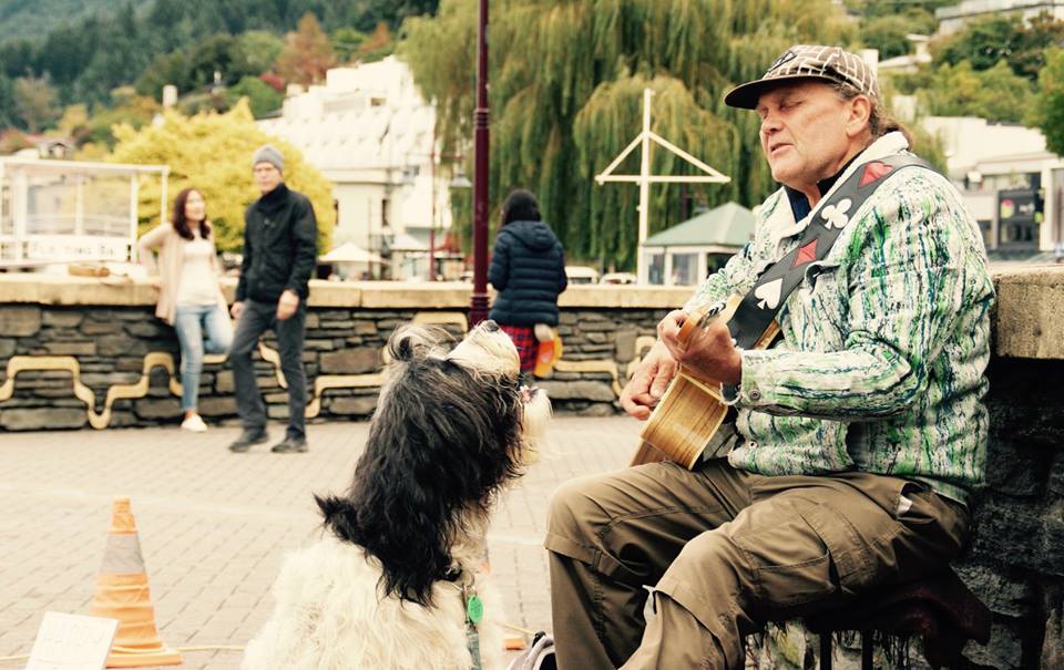 happy the singing sheepdog