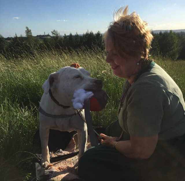 hospice dog having fun