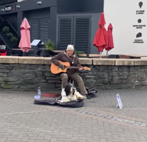 dog street performer nz