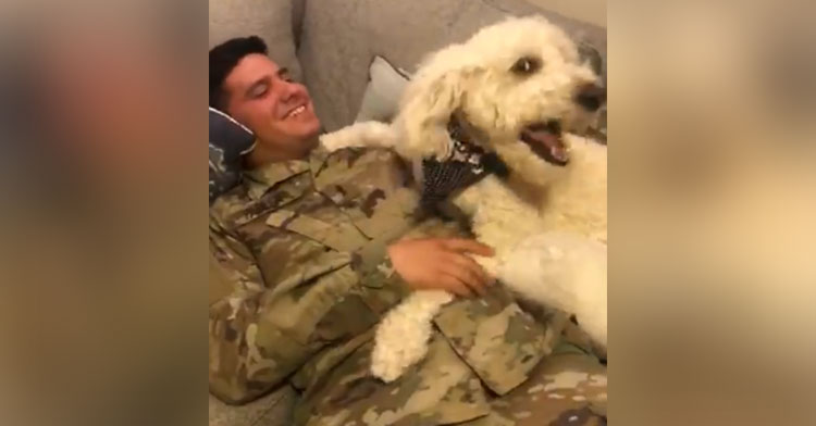 soldier and dog