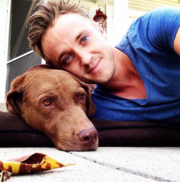 tom felton