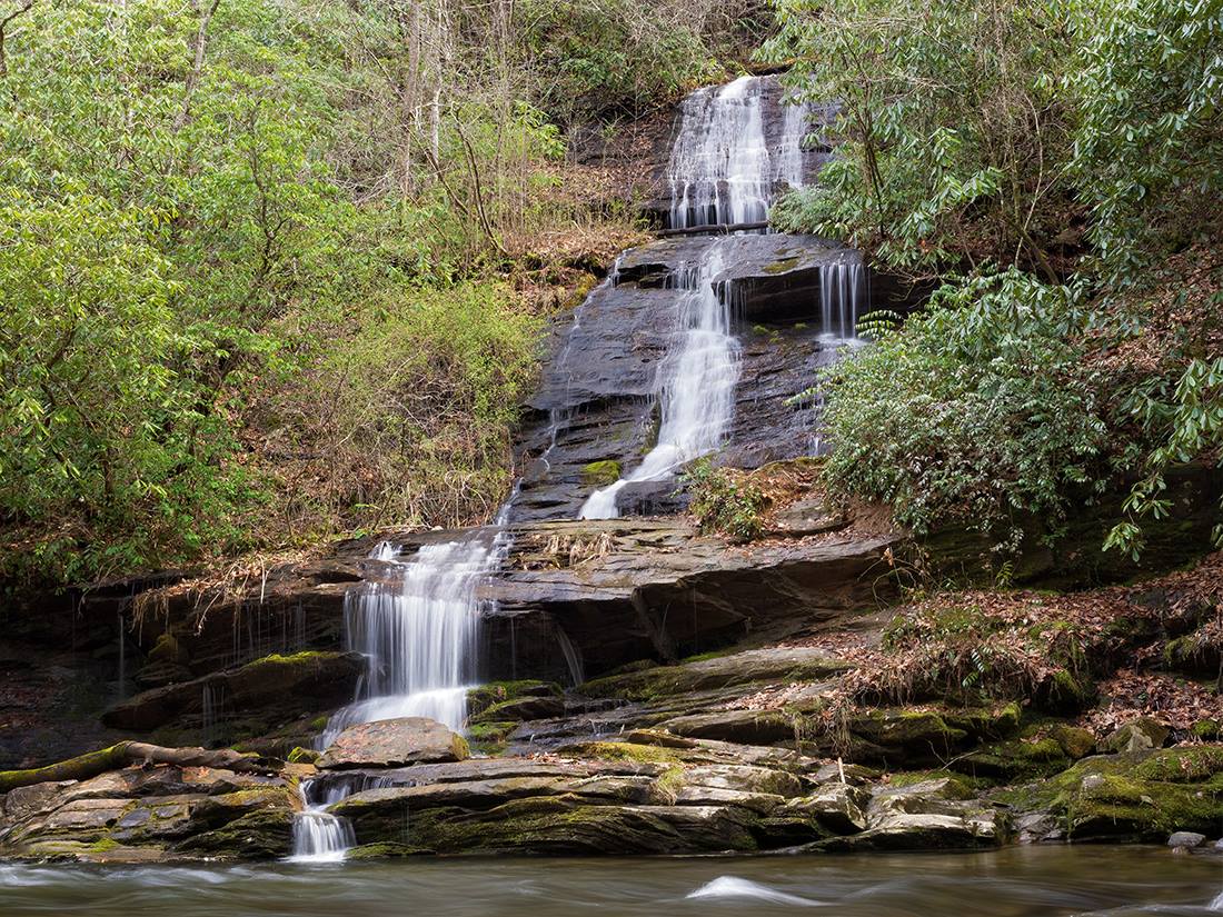 tom branch falls
