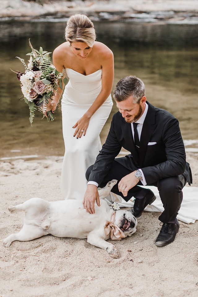 goofy dog wedding photo