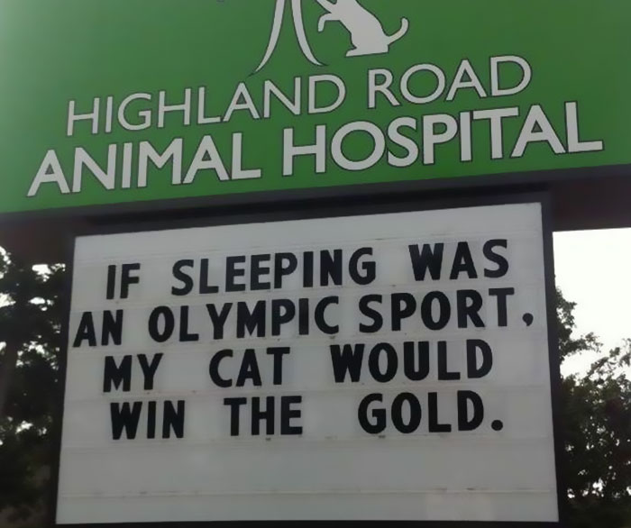 funny vet sign