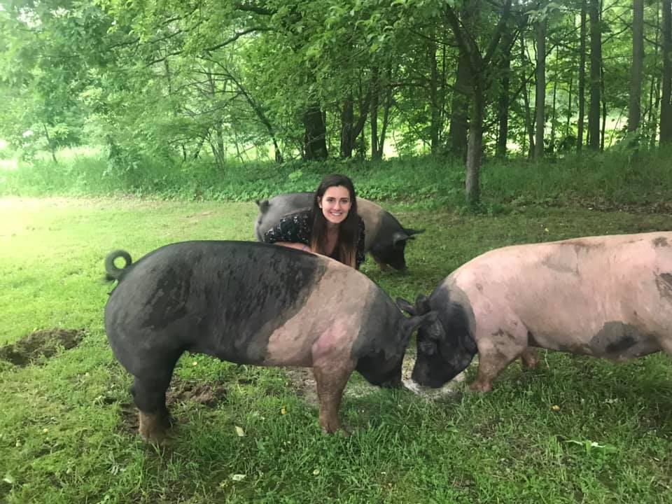 carly and pigs
