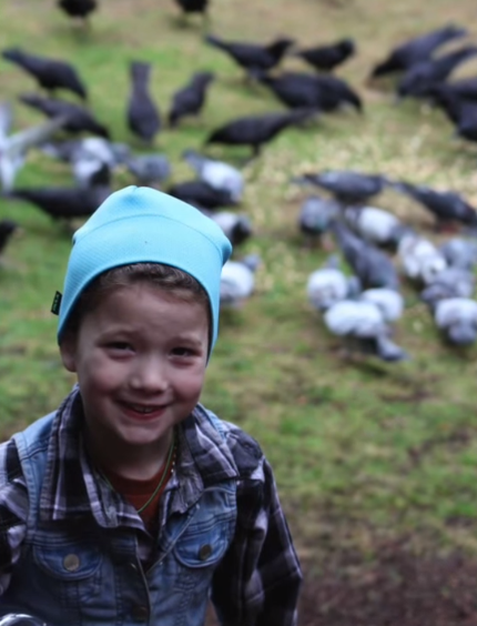 gabi and birds