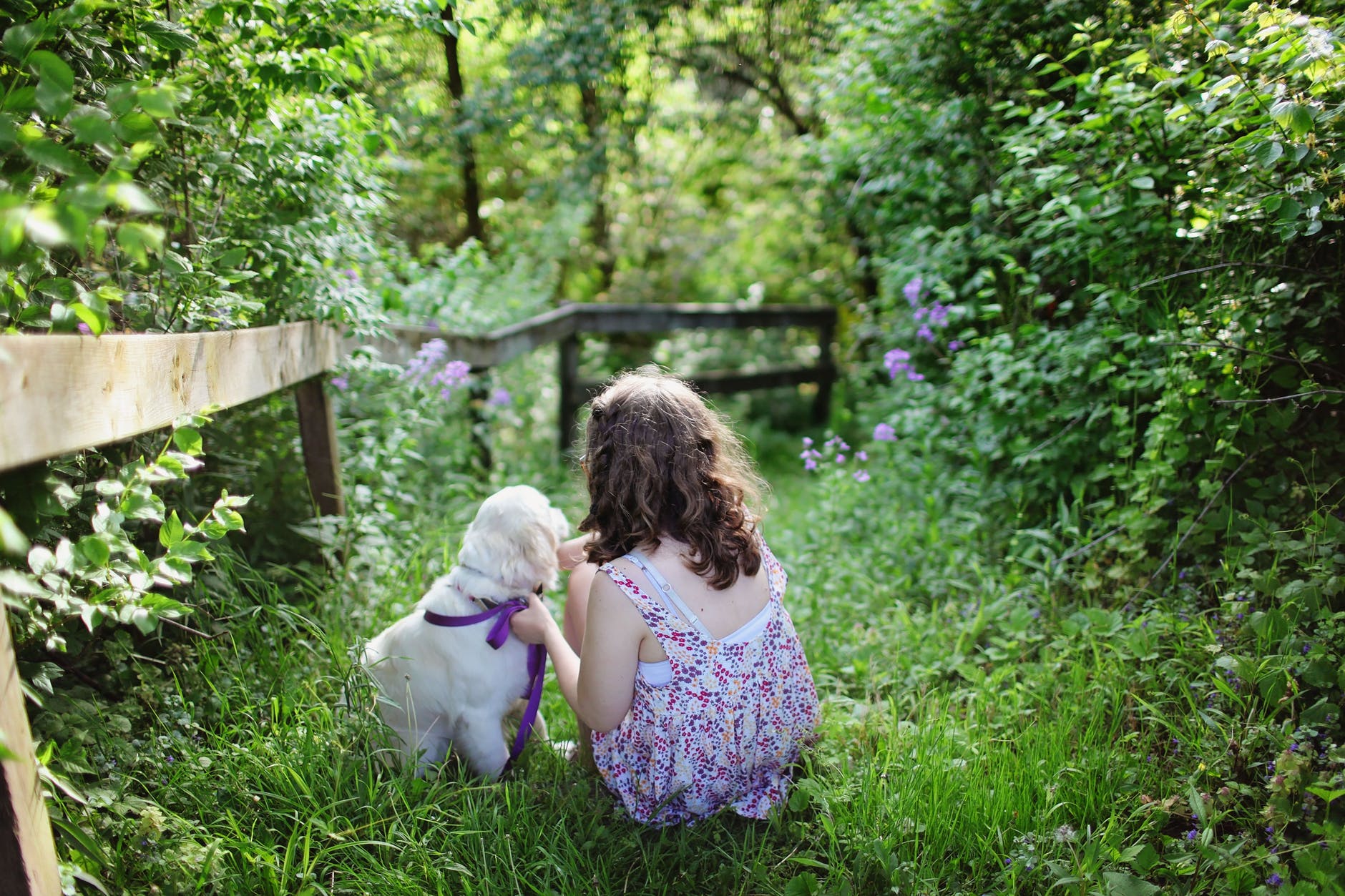 girl and dog