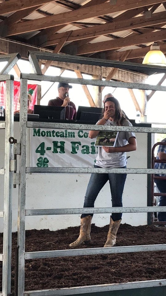 hog auction