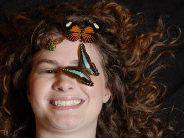 katie and butterflies