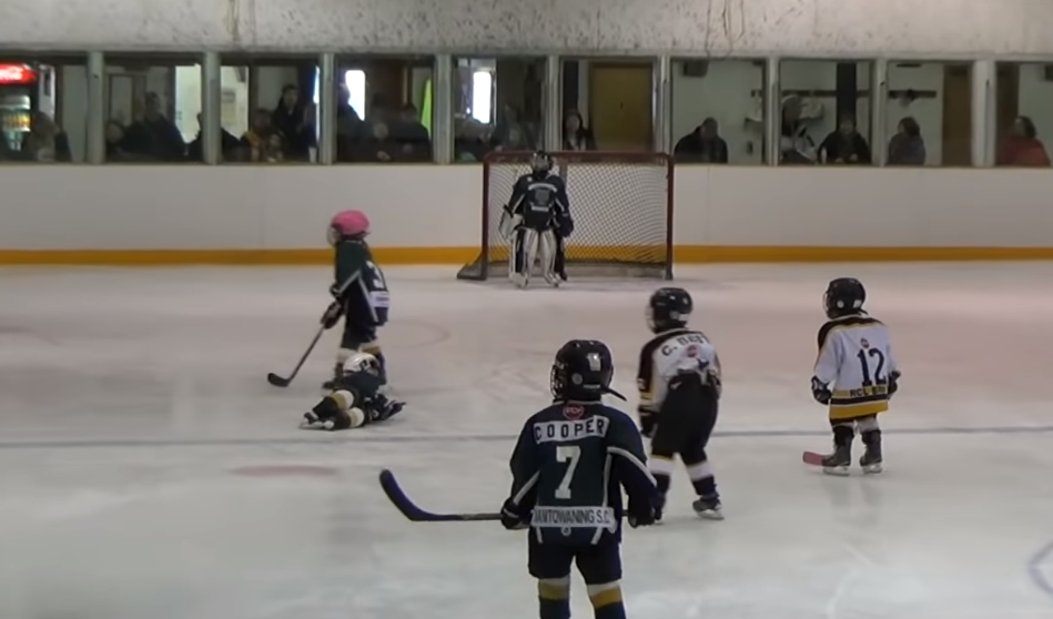 tyke hockey fall